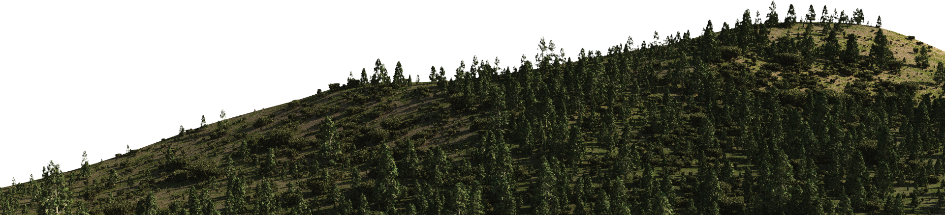 tree on mountain landscape transparent nature image #11955