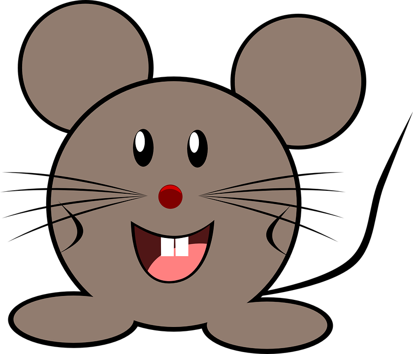 mouse grey little vector graphic pixabay #23134