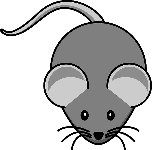 vector graphic mouse grey animal tail #23121