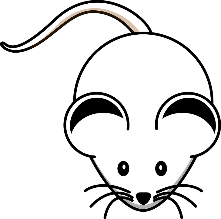 vector graphic mouse white rodent lab whiskers #23104