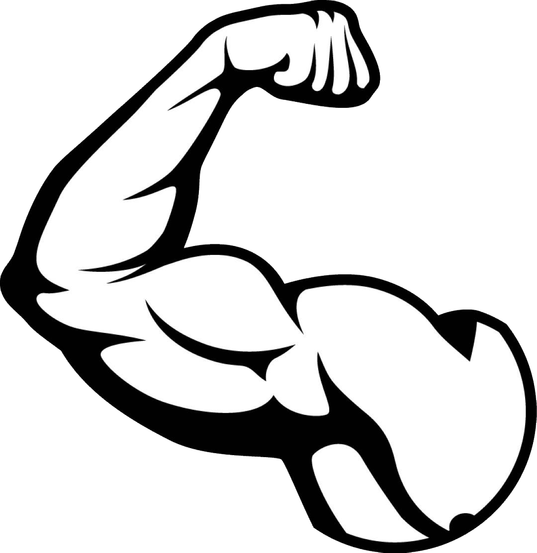 muscles, muscle png image purepng transparent png image library #29581