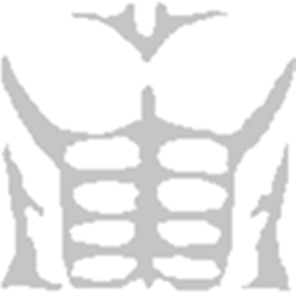 Roblox T Shirt Png Muscle | Supreme and Everybody