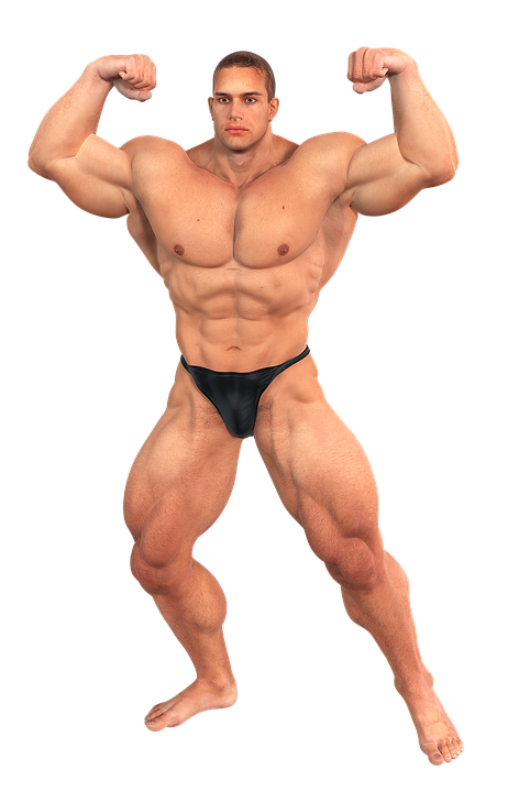 Muscle Png Image Free Download Muscles Pictures Free Transparent Png Logos - transparent roblox muscles t shirt