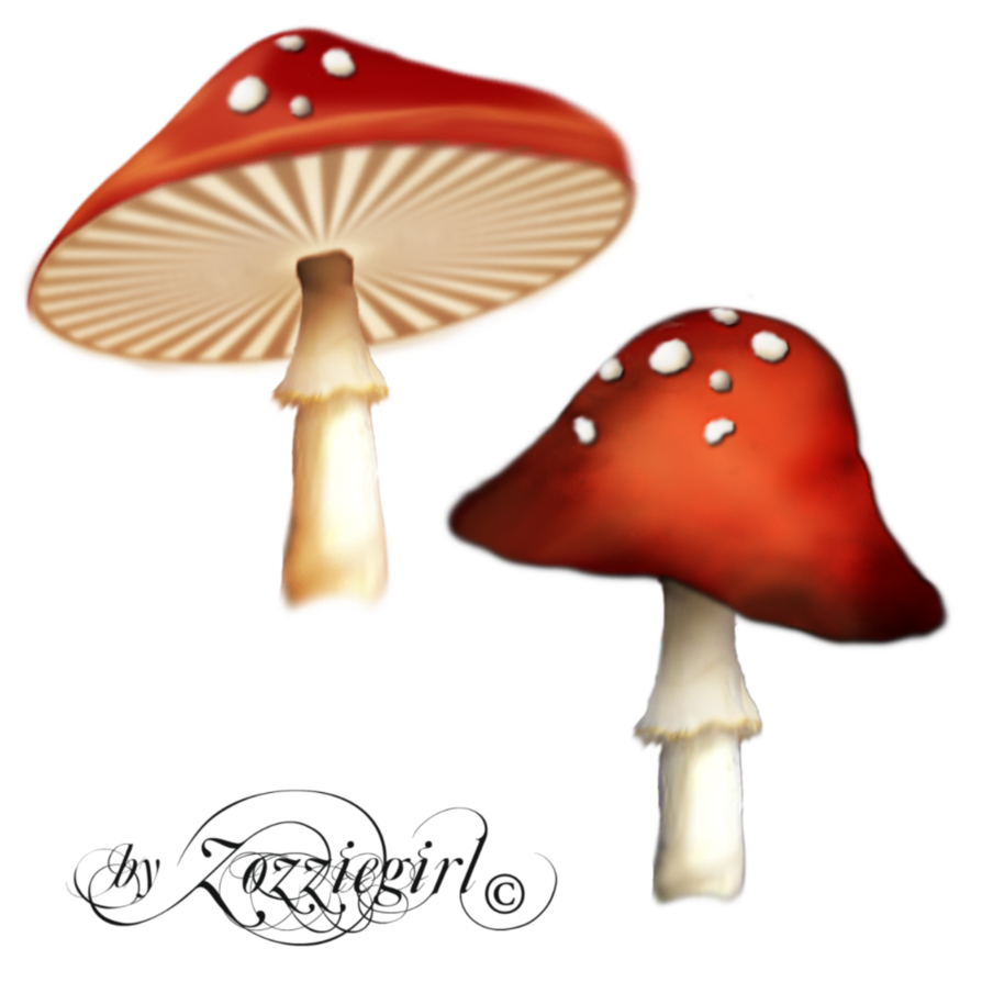 magic mushrooms paintedby zozziegirl zozziegirl #9089