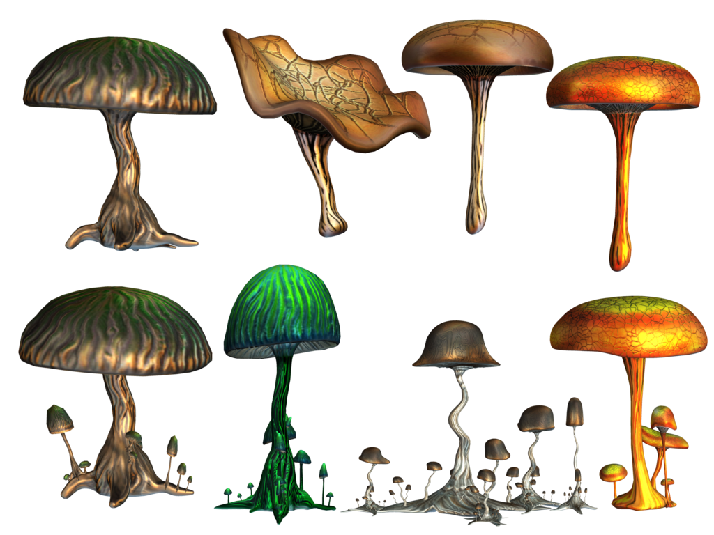 mushrooms 3d png image #9076