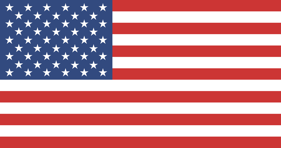national flag american flag usa vector graphic #38900