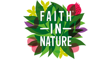 faith nature green tea logos #8621