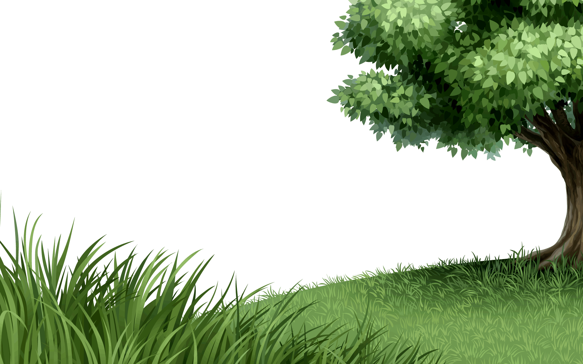 nature, grass #8597