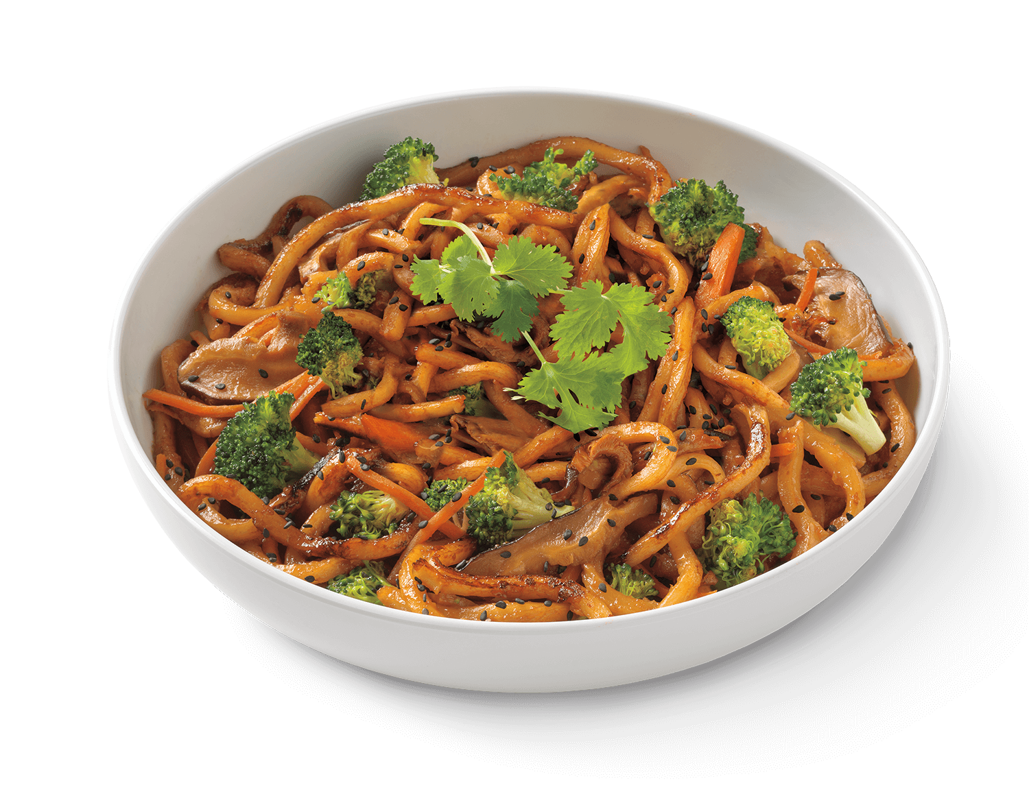 japanese pan noodles noodles company #30046