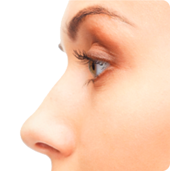 download nose png transparent for designing projects #36853