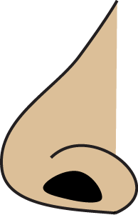 Nose Transparent PNG, Free Cartoon Nose Images - Free Transparent PNG Logos