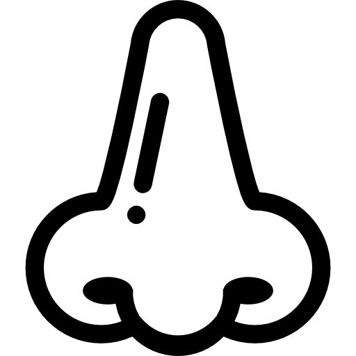 Nose Transparent PNG, Free Cartoon Nose Images