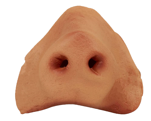 pig nose transparent png manoluv deviantart #36818