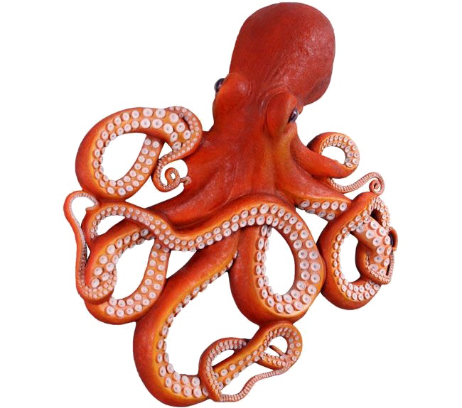 octopus png clipart png mart #35512