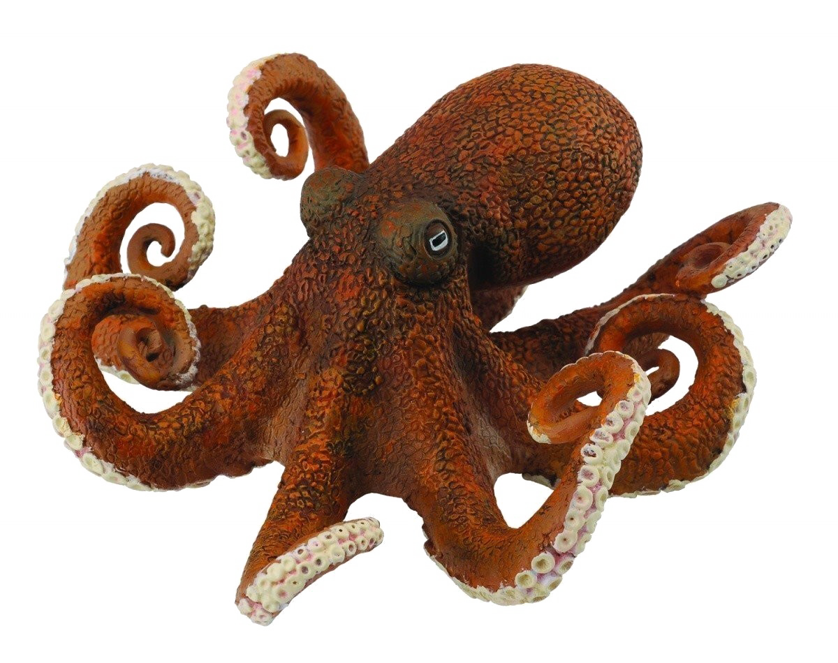 octopus png images transparent download pngmartm #35506