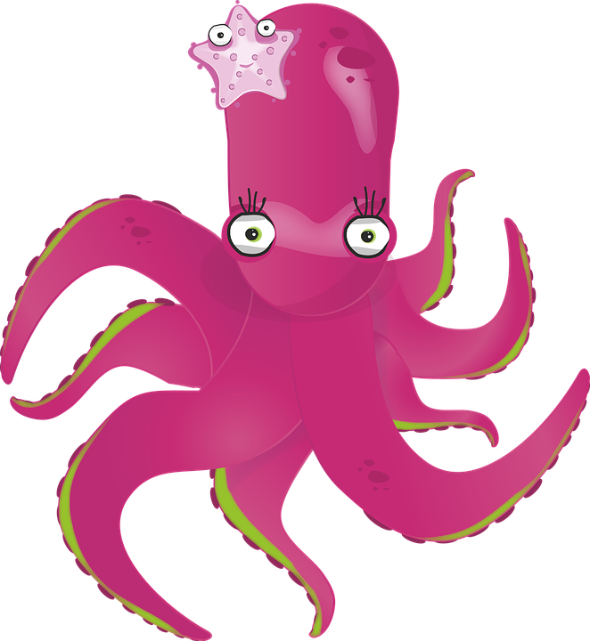 Octopus