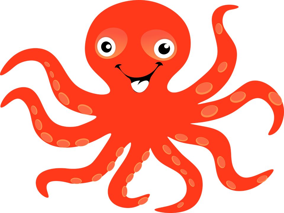 Octopus