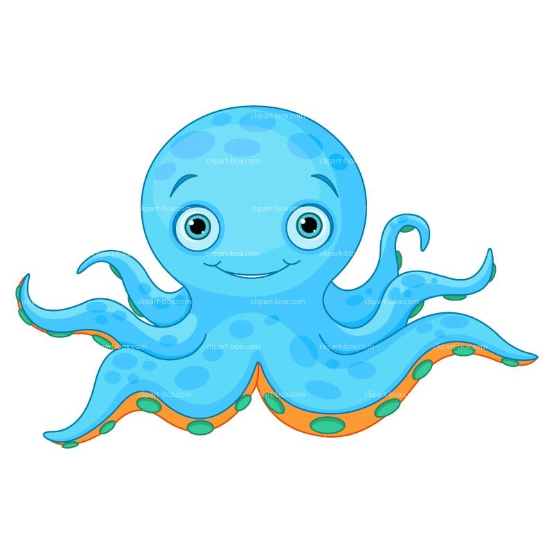 octopus ledon style spanish lesson blog dibujos pulpo #35876