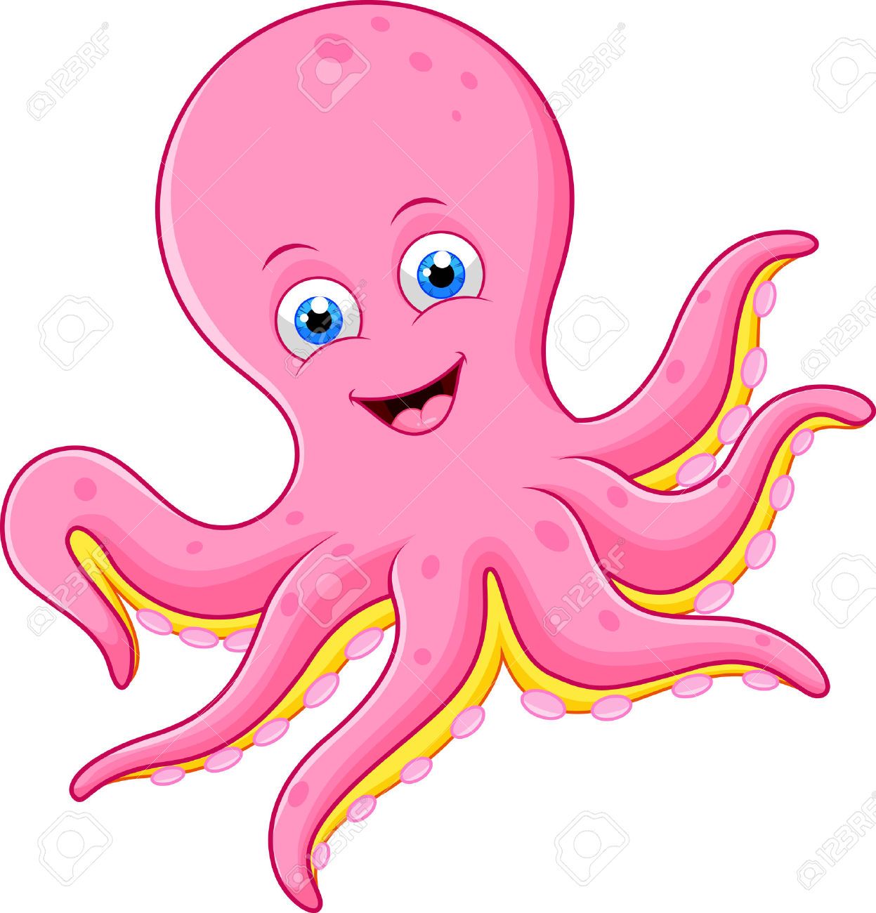 Octopus