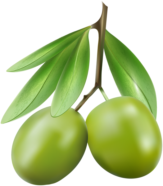 two olive green vegatables png #30108