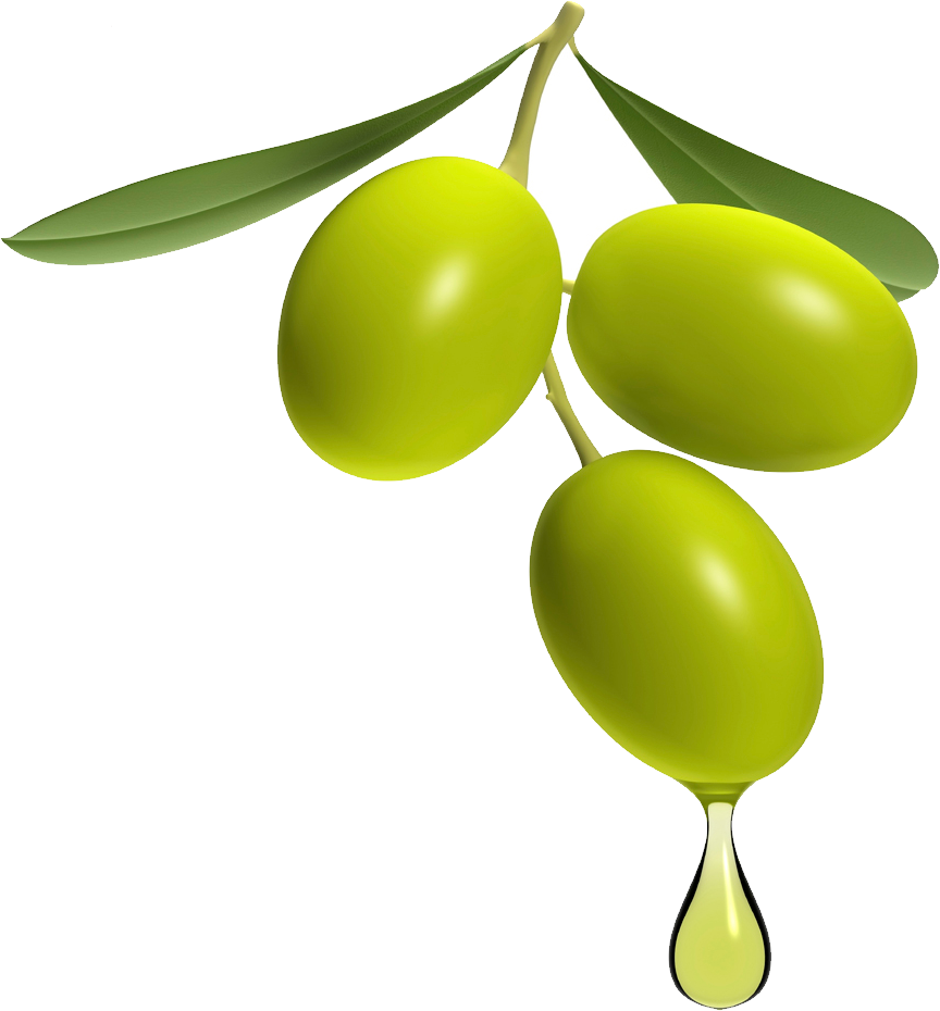 olives, olive clipart clipground #30110