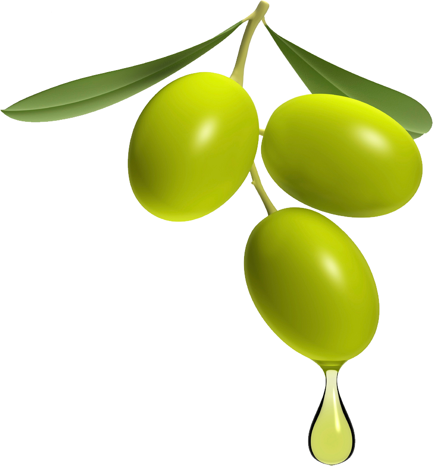 olive with leaf and oil drops png #30110