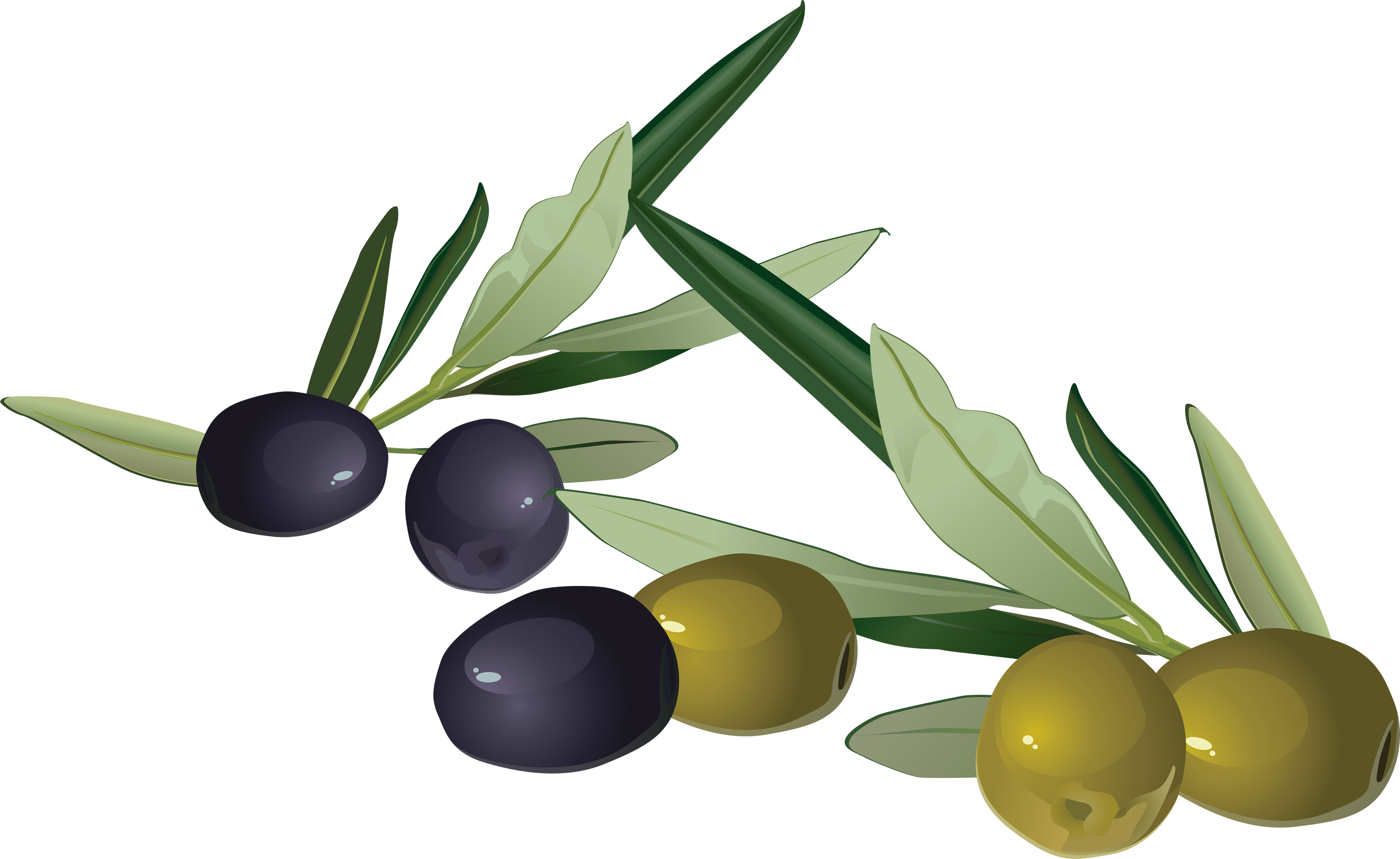 natural Foods green and black olives png #30080