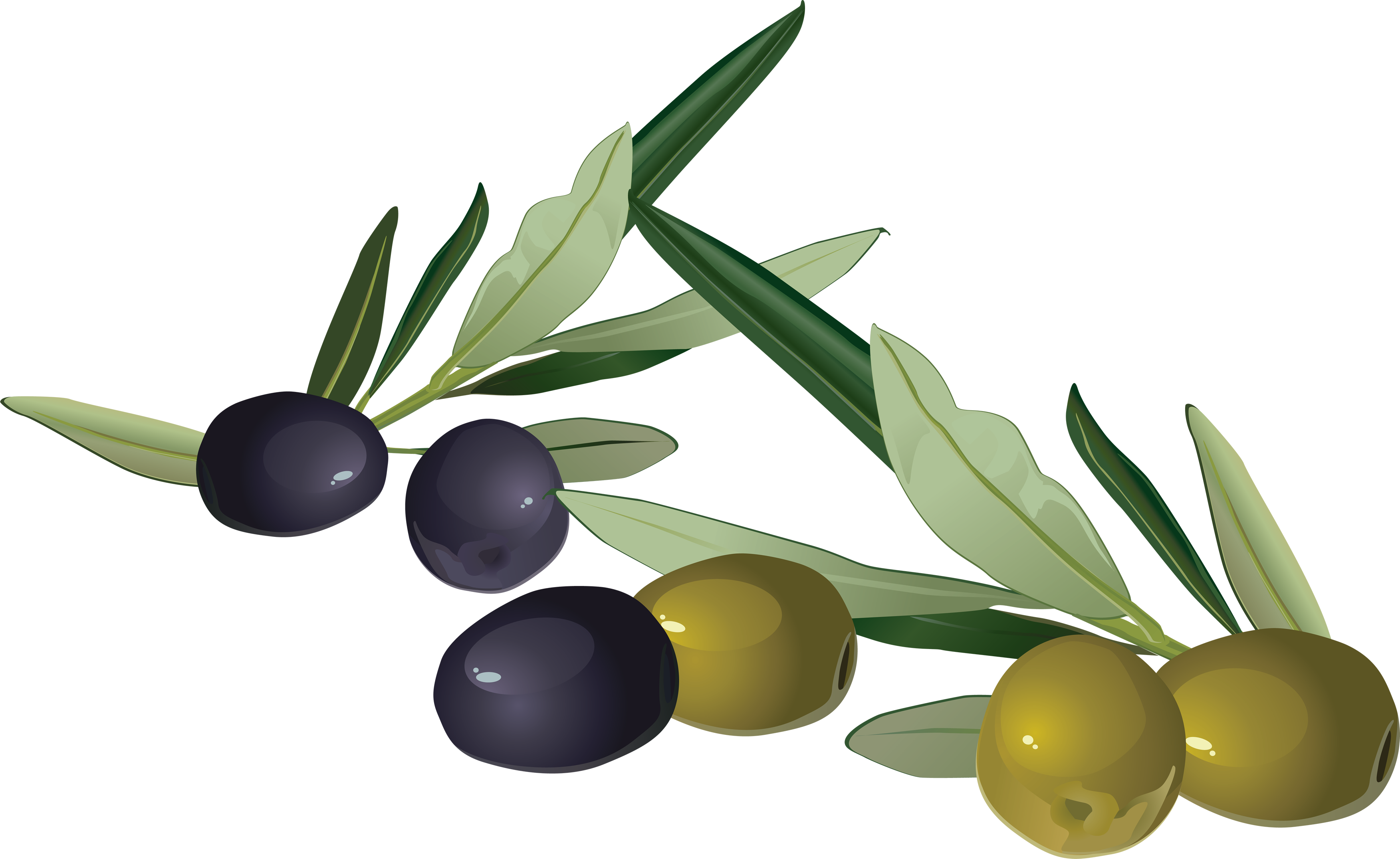 Olives