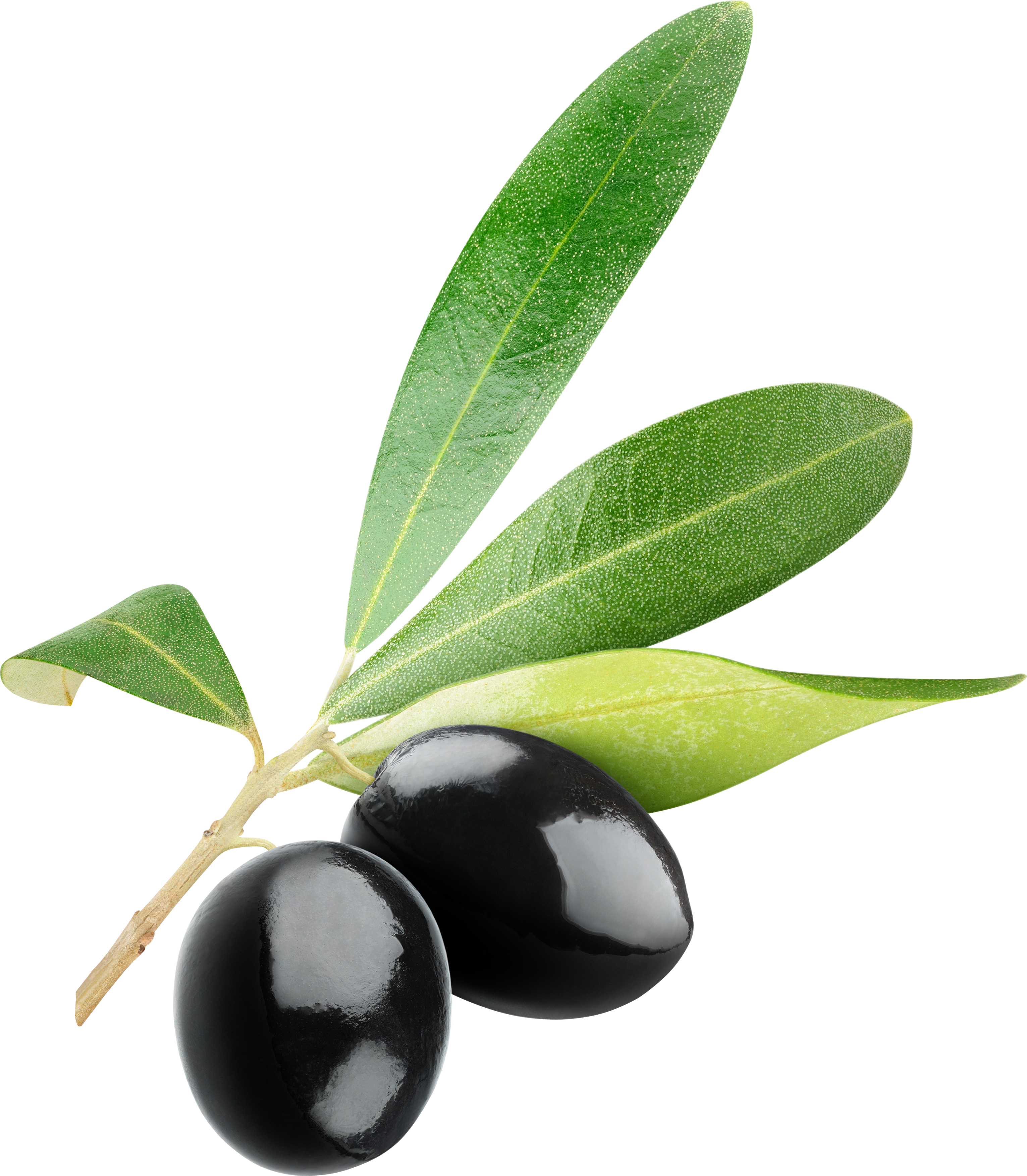 Olives Png