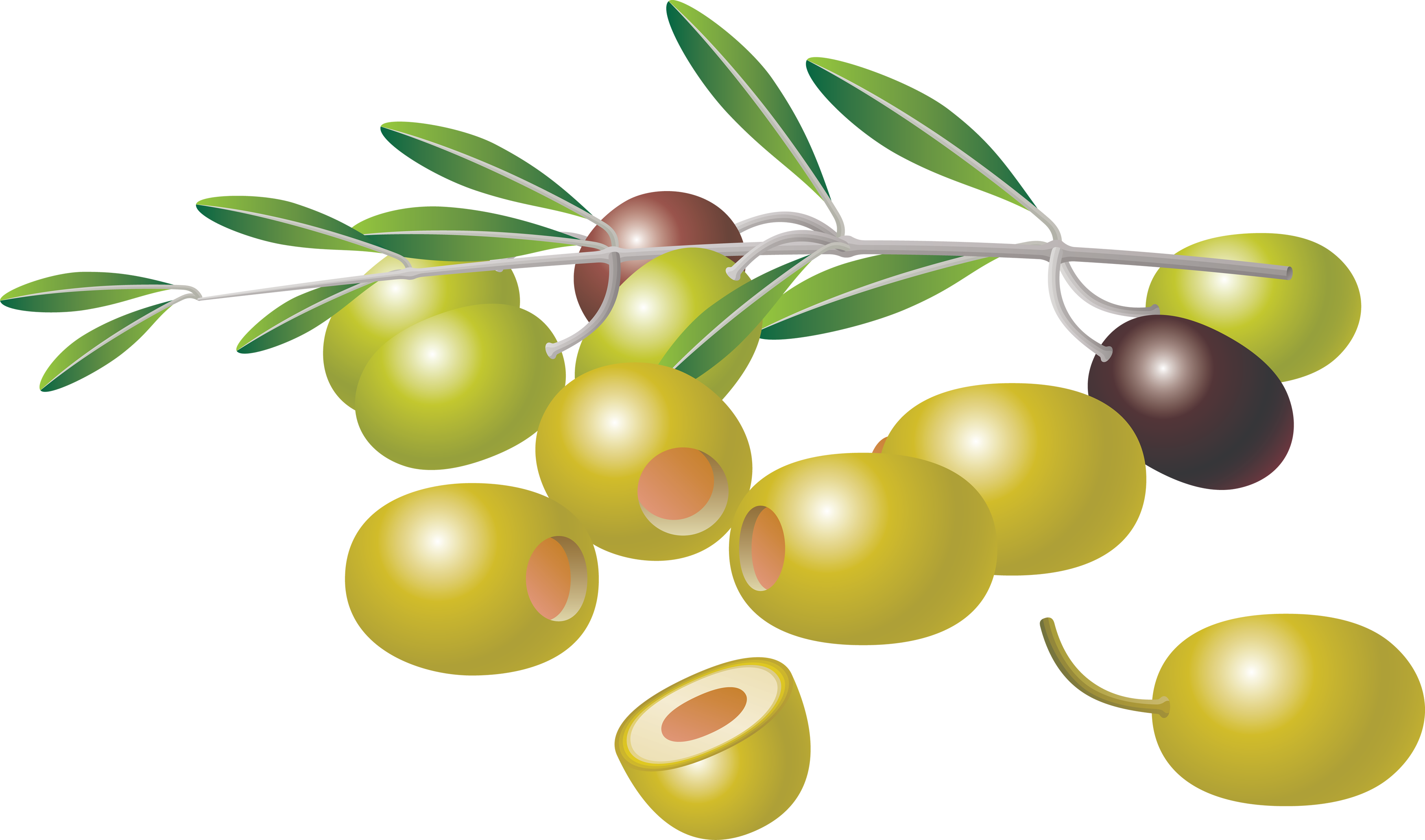 olives, olive png images download crazypngm crazy png images download #30061