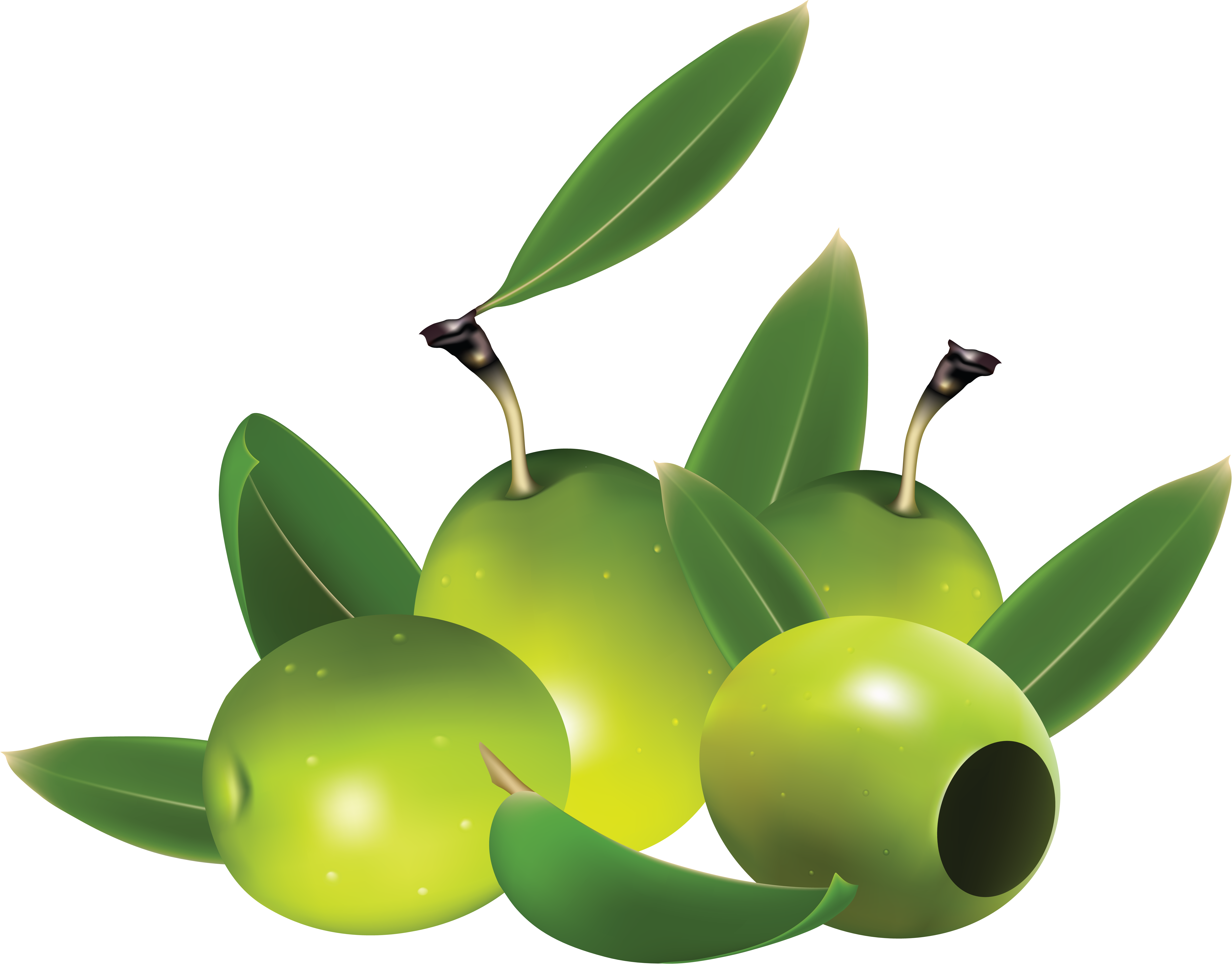 Flowering Plant olives green png #30116