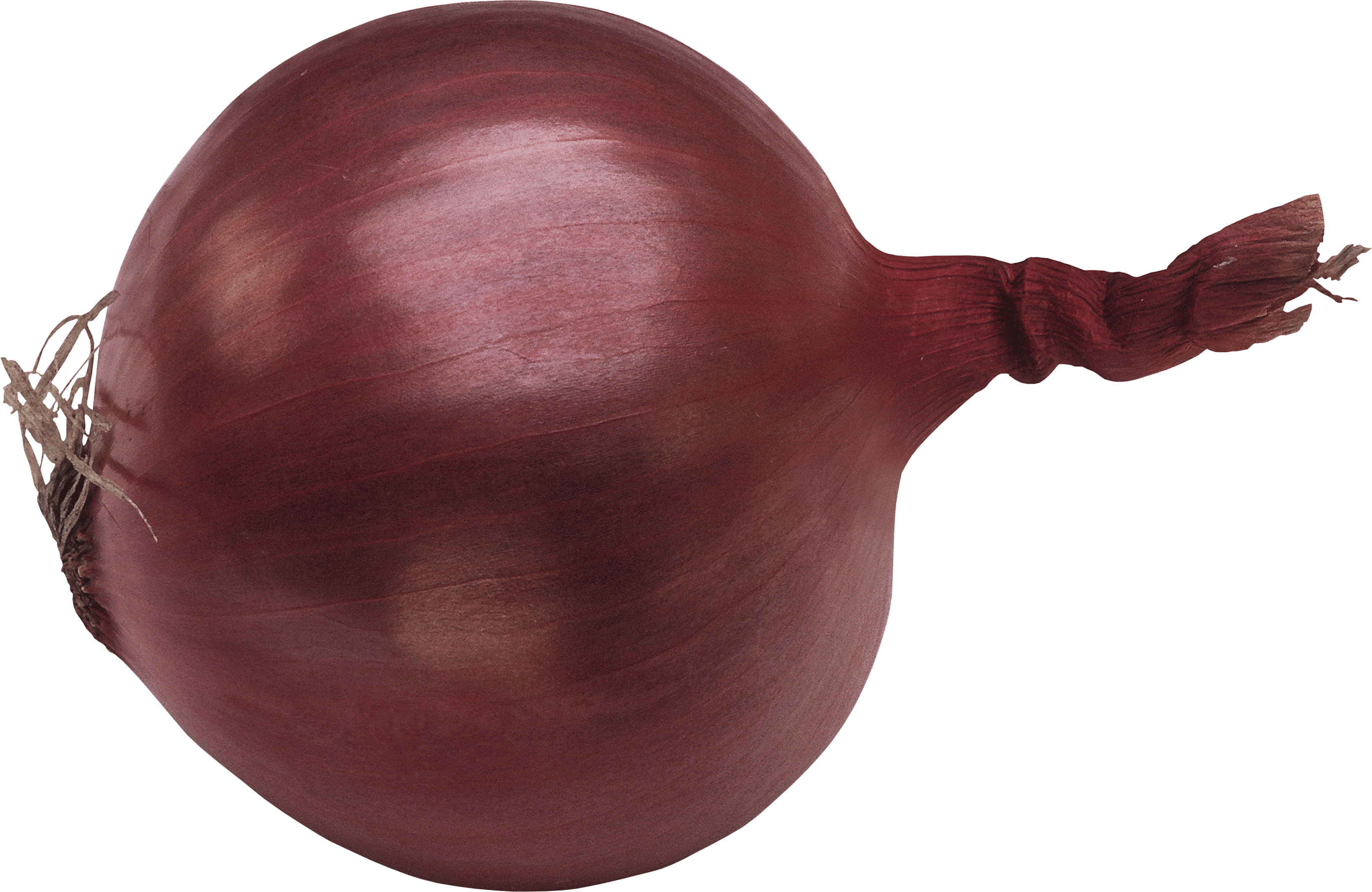 download onion png image png image pngimg #22177