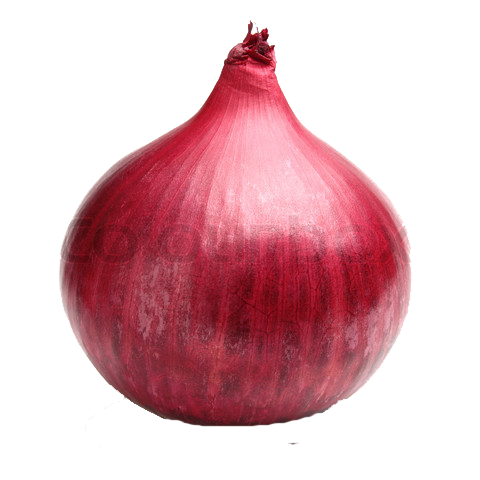 download red onion png file transparent png #22126