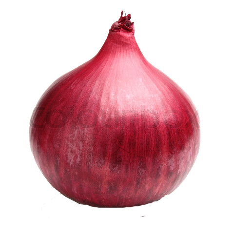 Onion PNG Images, Onion Slice, Red Onion Clipart Free Download