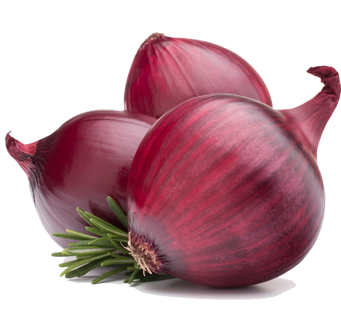 download red onion png image pngimg #22195