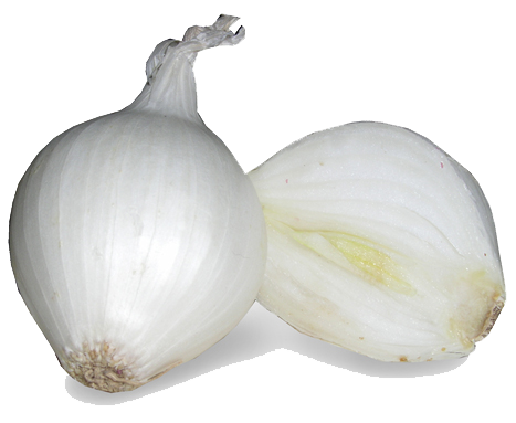 download white onion png image transparent png #22166