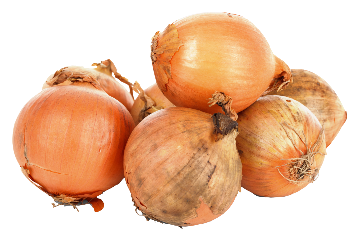 onion, onions png image pngpix #22133