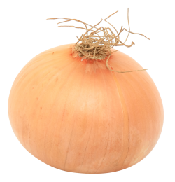 Onion