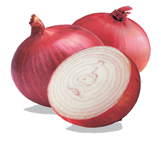 picture download onion icons and png backgrounds #22105