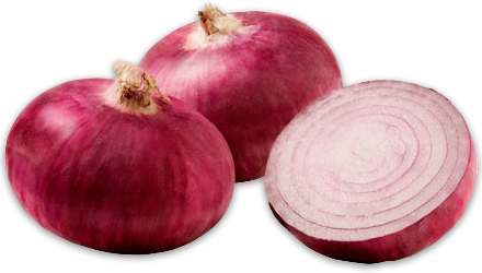 red onion #22156