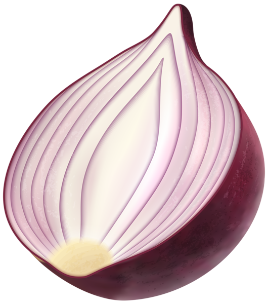 red onion png clip art image gallery yopriceville high #22117