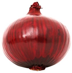 red sliced onion png image pngpix #22168