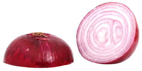 red sliced onion png image pngpix #22182