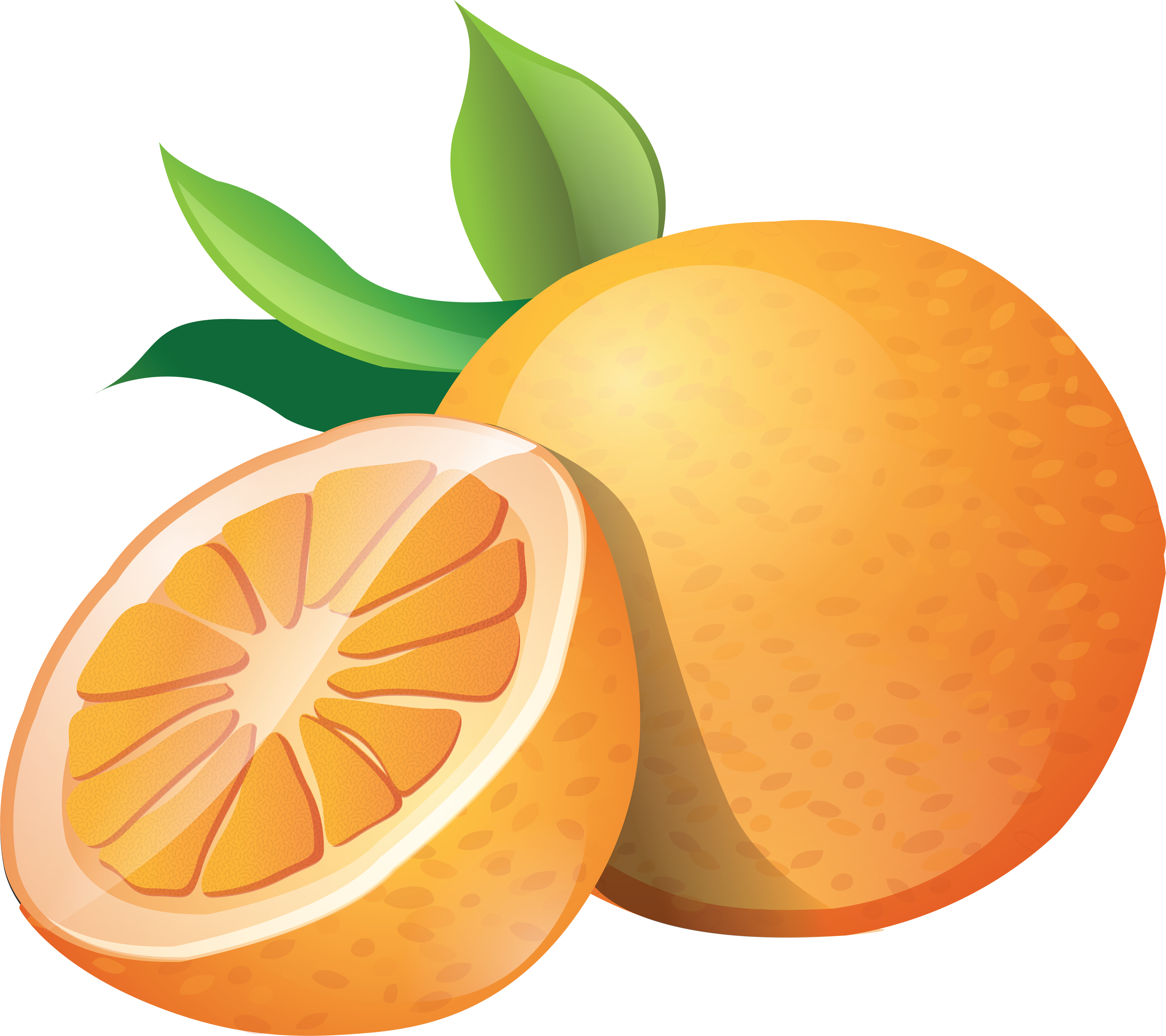 orange clipart clip art orange clipart #15351