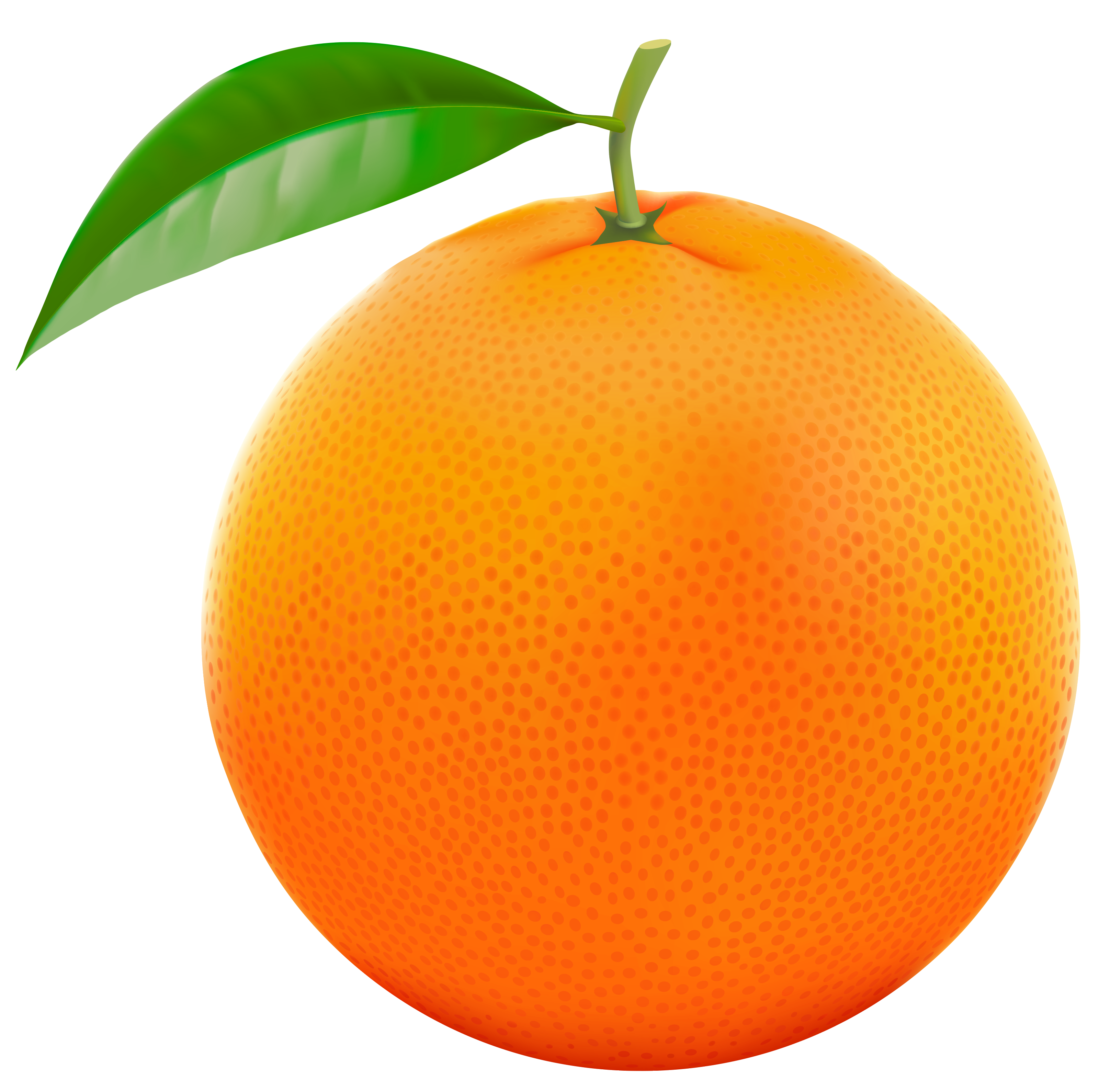 Oranges Clip Art