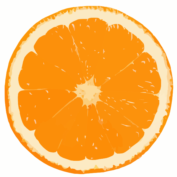 orange fruit vector png