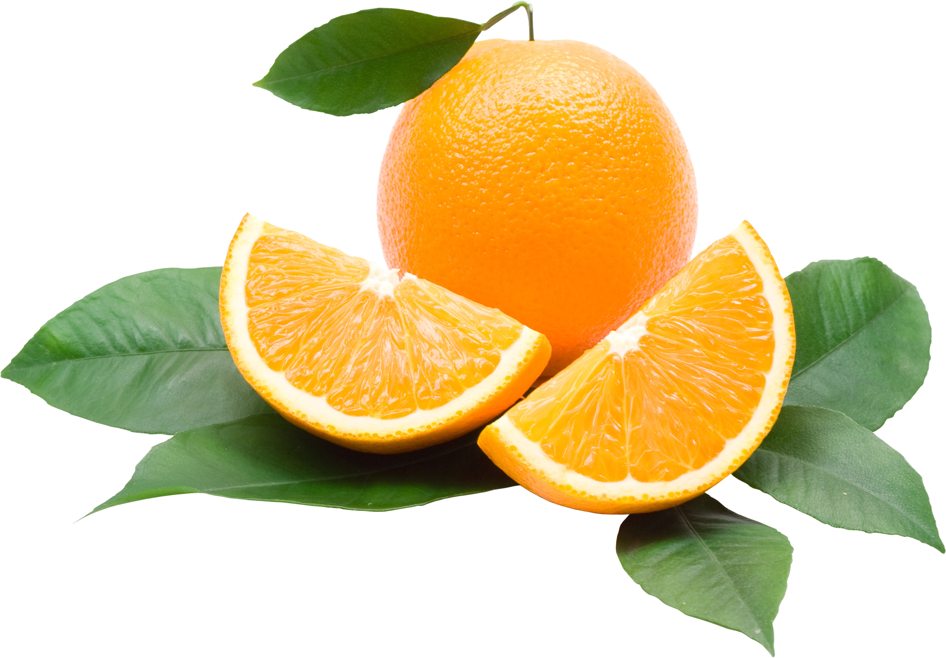 orange png image purepng transparent png #15322