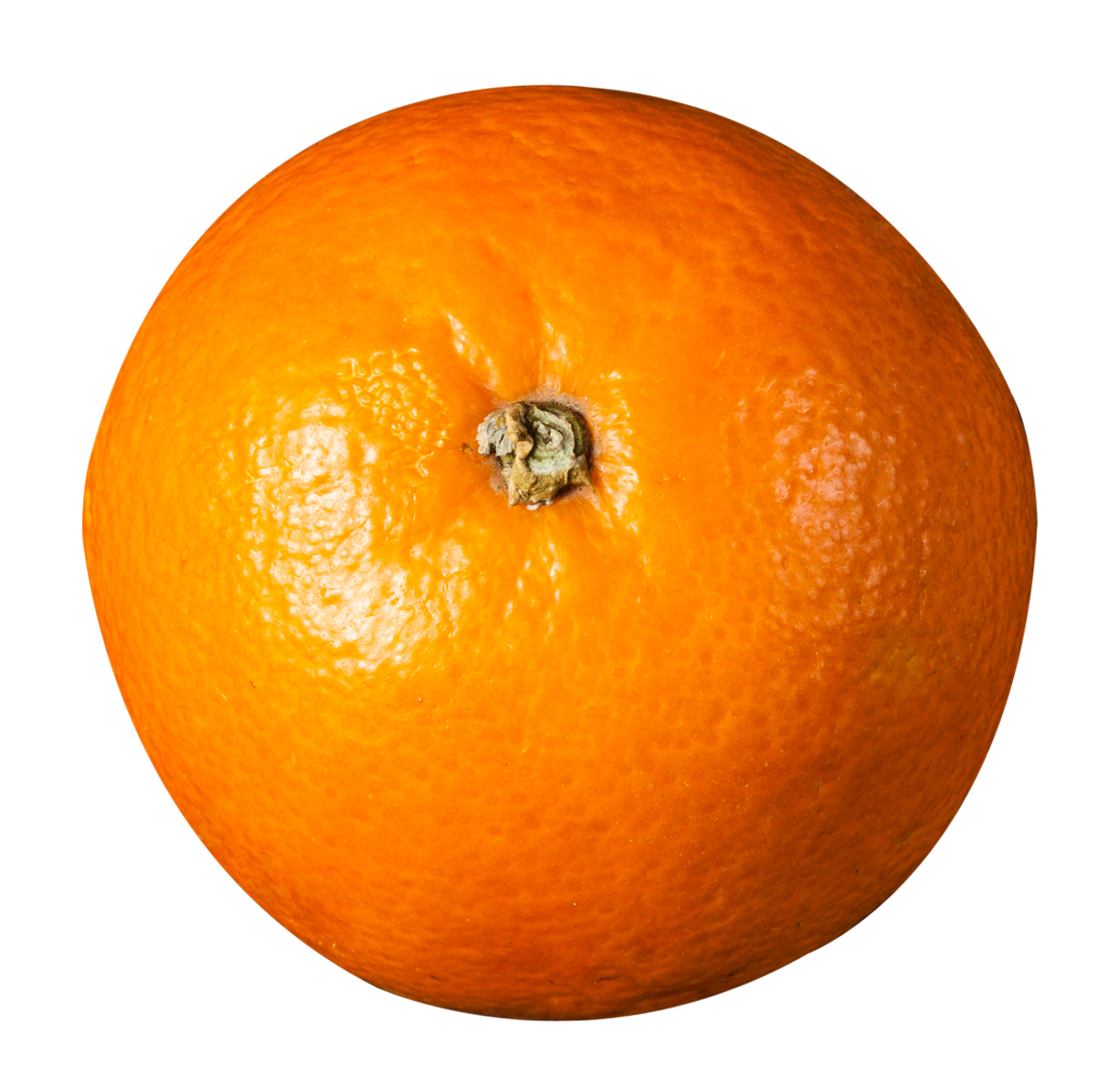 orange top view png image pngpix #15291