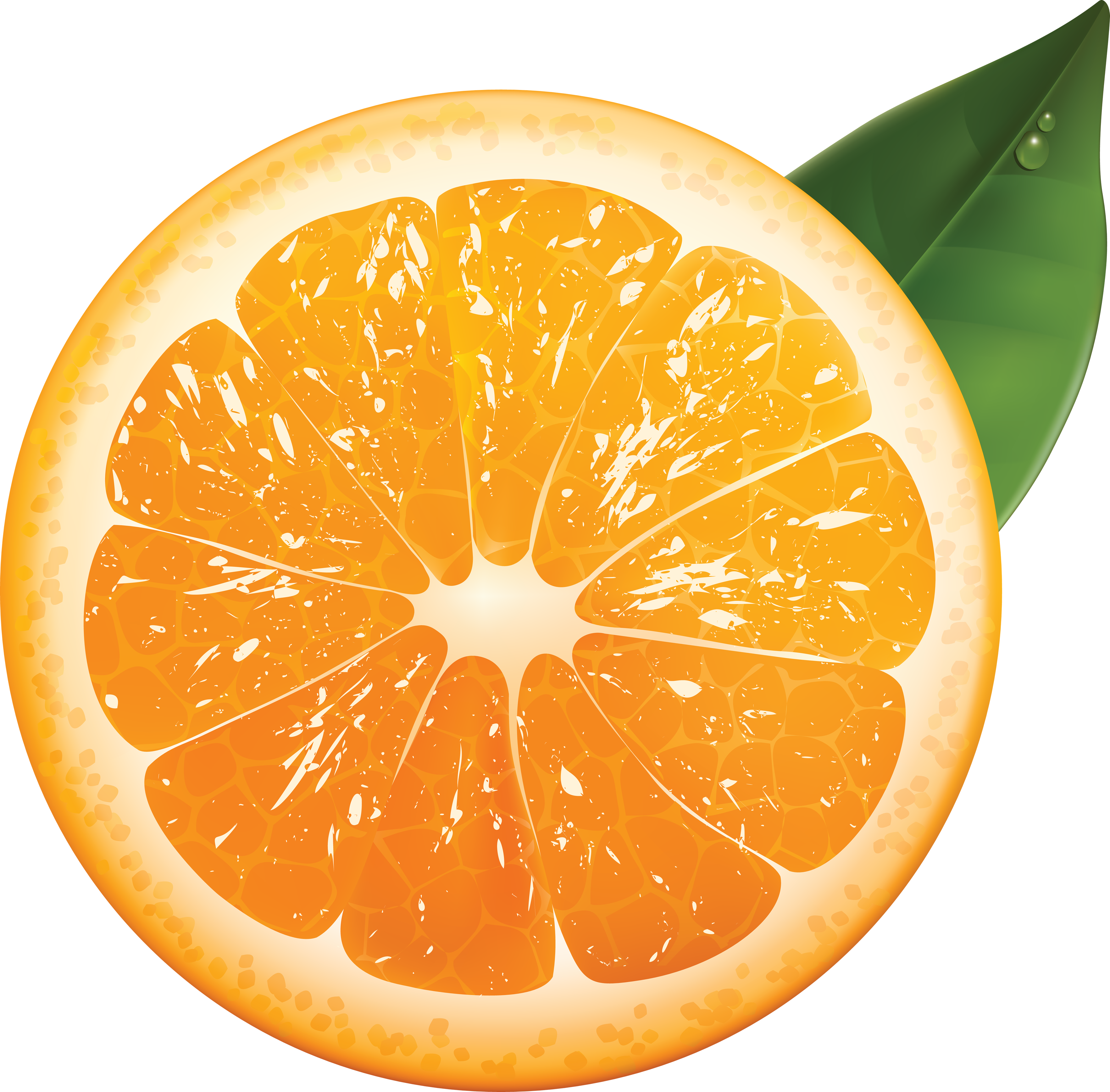 orange transparent png file web icons png #15335