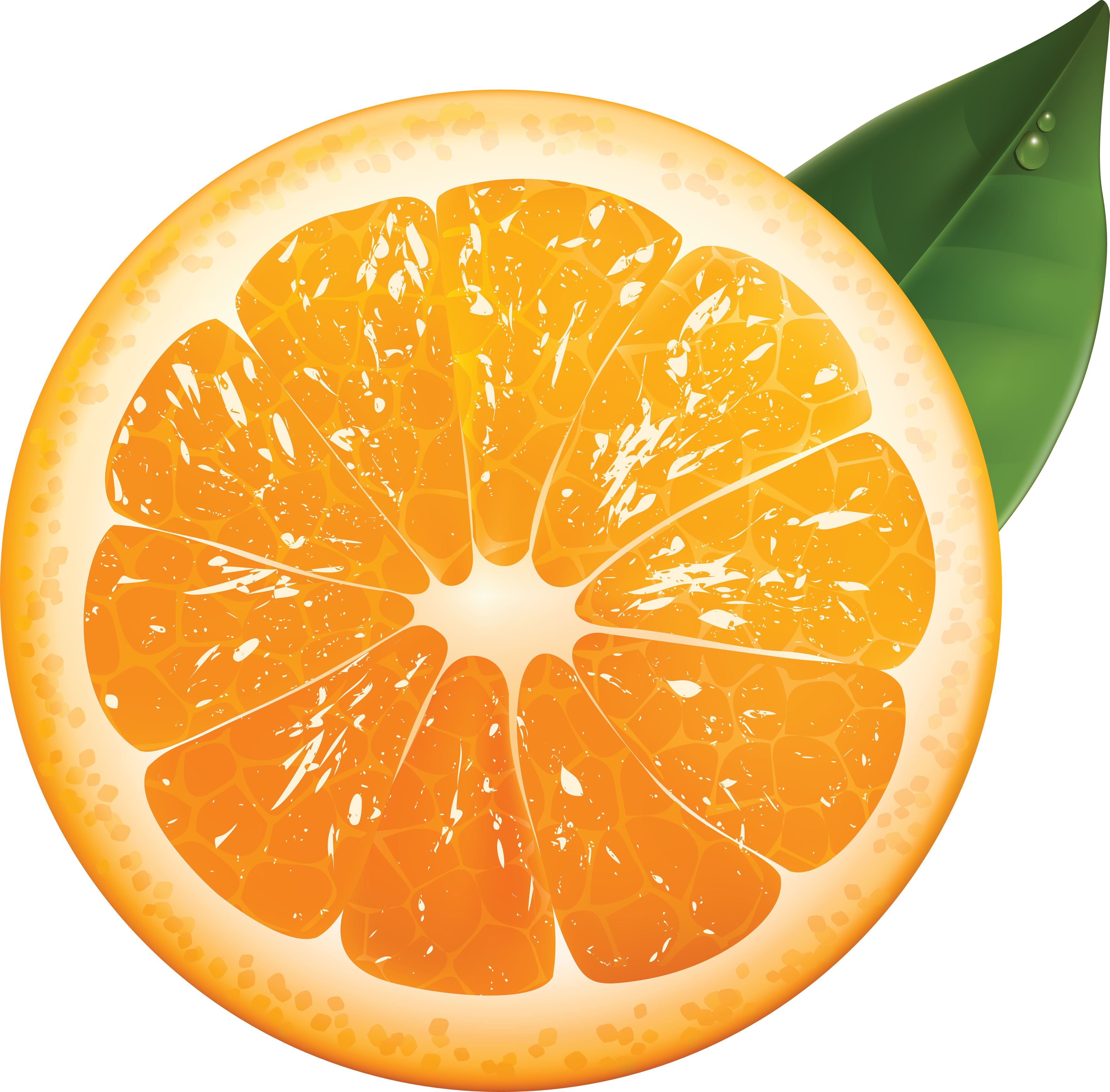 orange fruit vector png